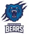 Birmingham Bears