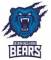 Birmingham Bears