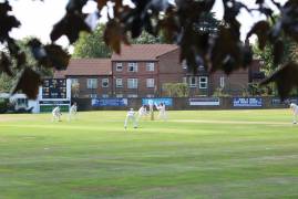 JOB VACANCY: ENFIELD CRICKET CLUB - DIRECTOR OF CRICKET